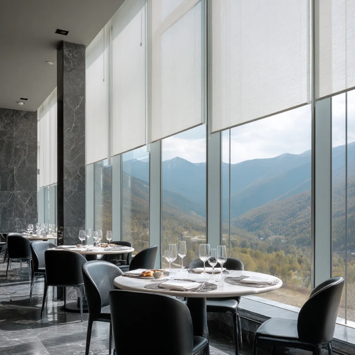 Blackout Roller Shades